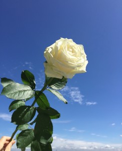 鈴木健士さん（音楽プロデューサー）お別れ会LIVE,