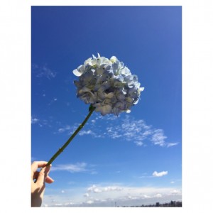 鈴木健士さんありがとうLIVE,