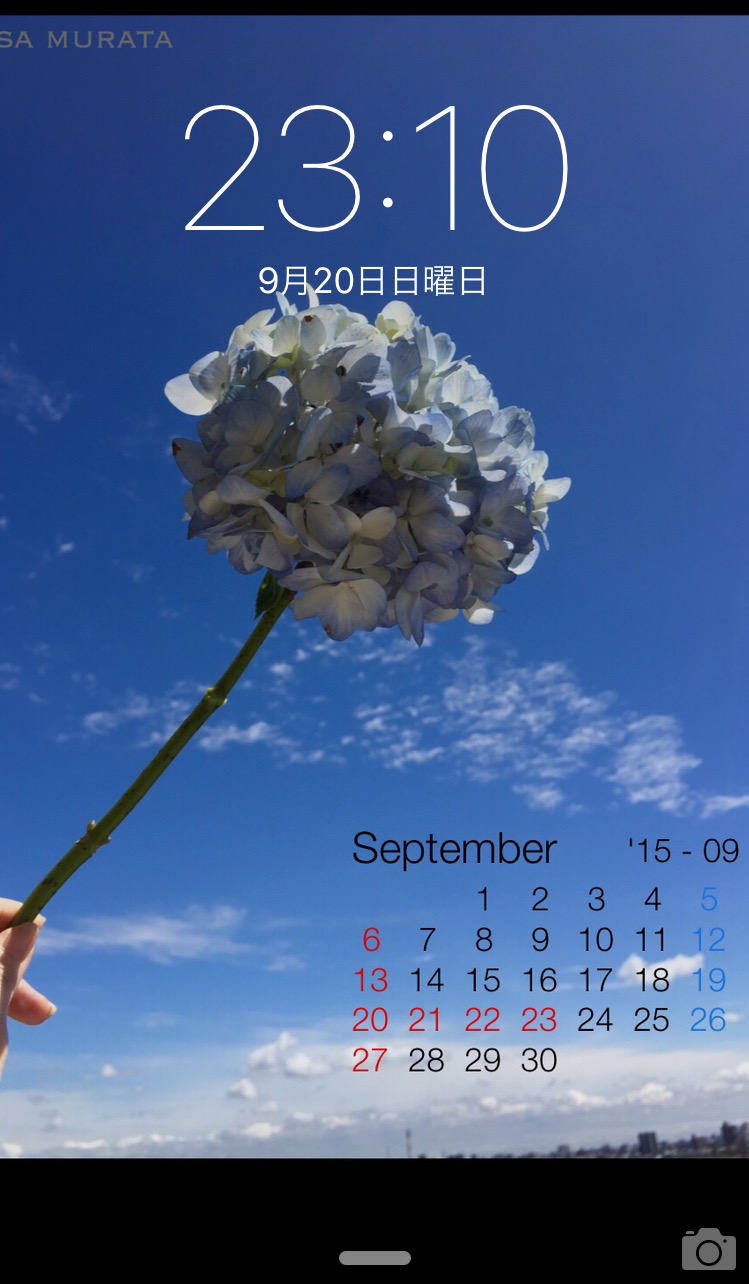 9月の紫陽花