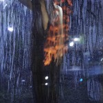 東京タワーと雨と恋と夢と。