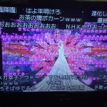 2015年紅白歌合戦!ラスボスと羽生きゅんに萌え♪