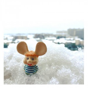 2016年東京の雪とトッポ・ジージョ❄︎