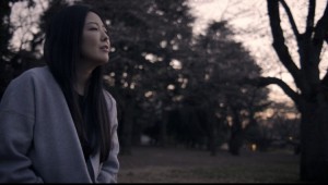 2016年さくら開花発表によりお花見お散歩♪